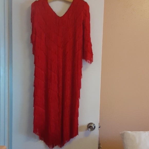 Chic Asymmetrical Red Fringe Dress - Picture 4 of 5